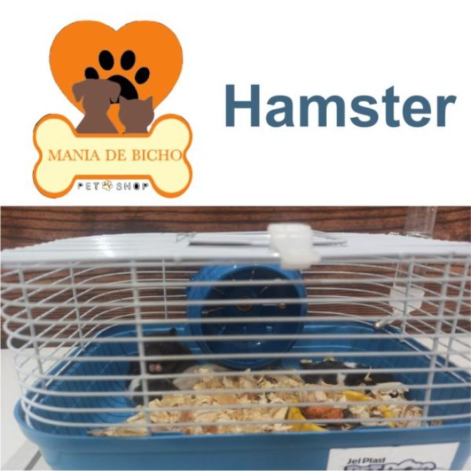 images/2022/08/hamster.jpg