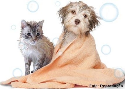 Produtos de Higiene para Cães e Gatos.
